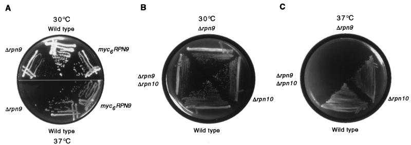 FIG. 5