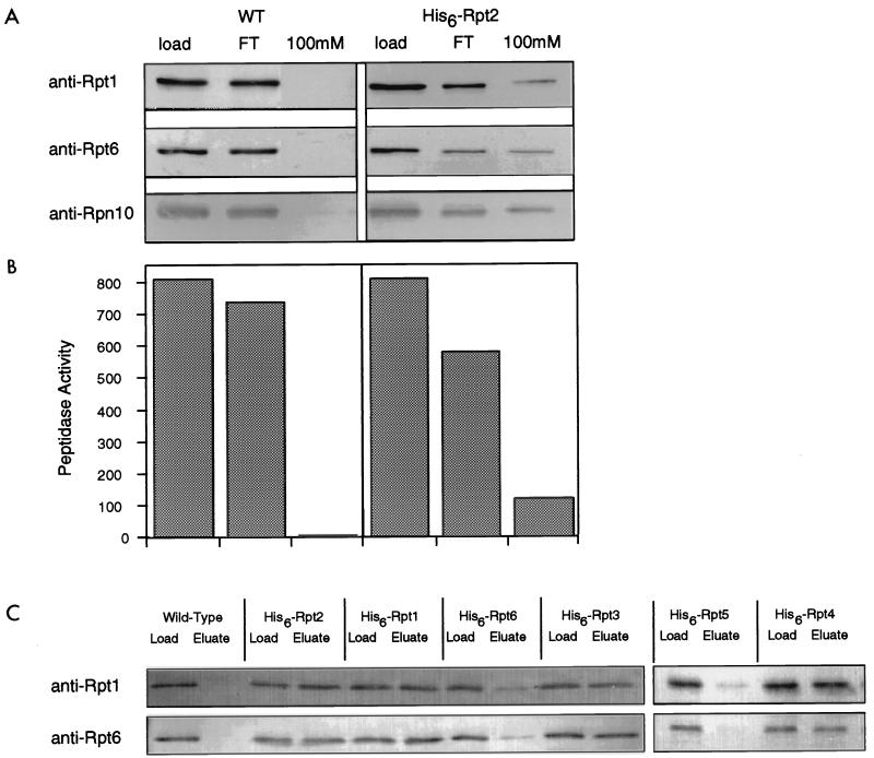 FIG. 8