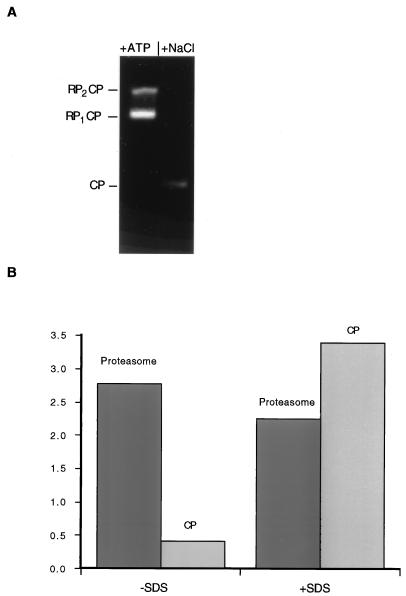 FIG. 9