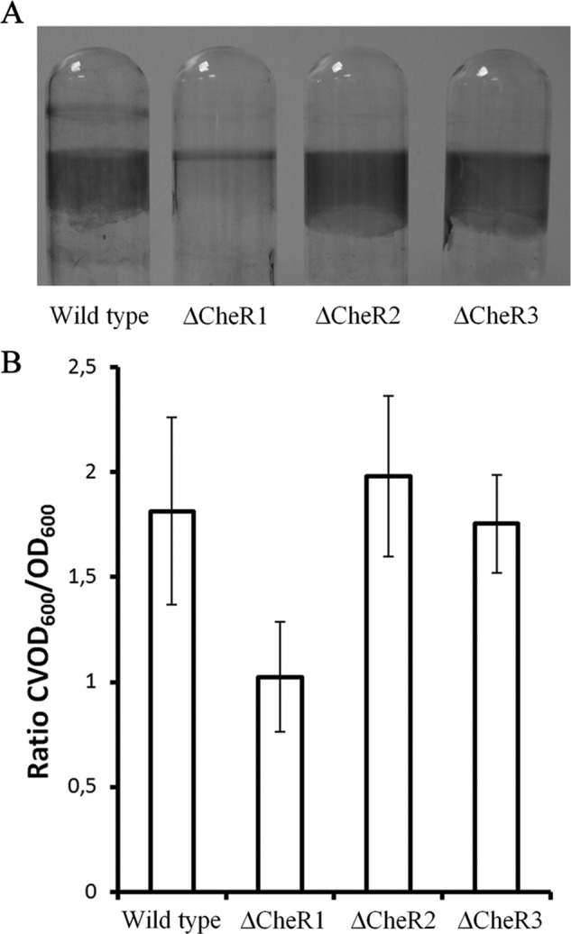 FIGURE 11.