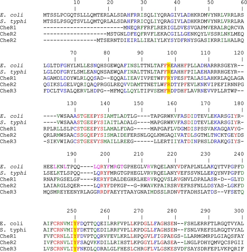 FIGURE 3.