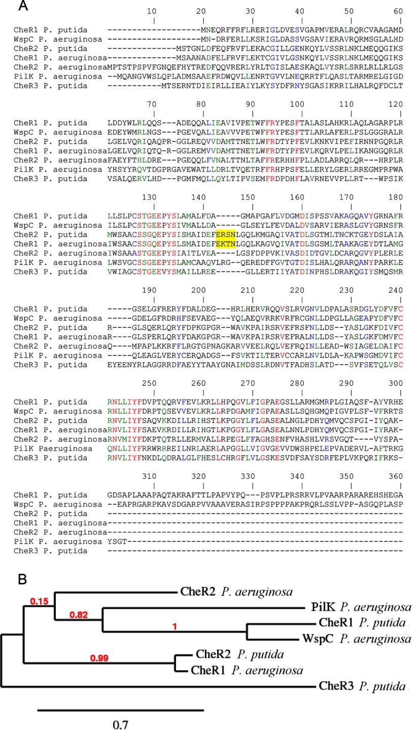 FIGURE 12.