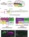 Figure 1 |