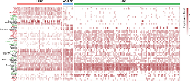 Extended Data Figure 9.