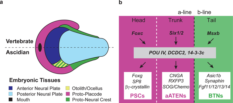 Figure 4 |