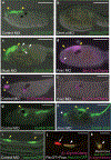 Figure 2 |