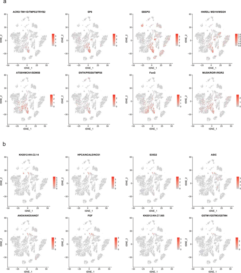 Extended Data Figure 8.