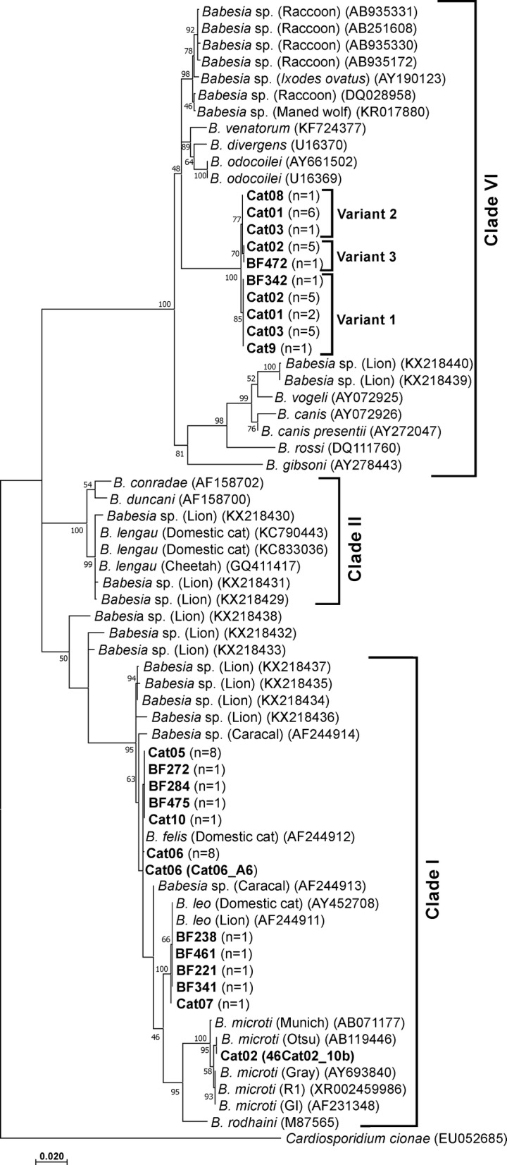 Fig. 5