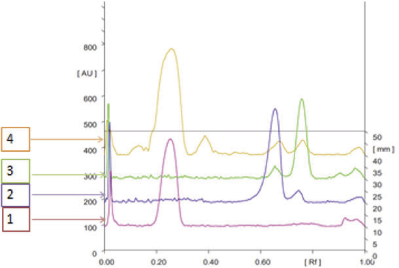 Figure 2