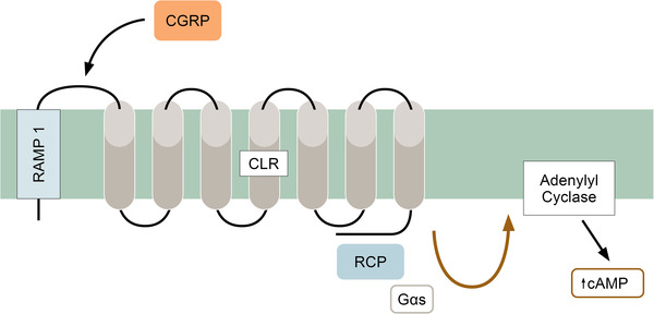 Fig. 2