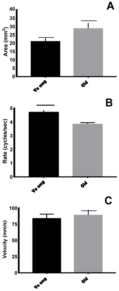 Fig. 5.