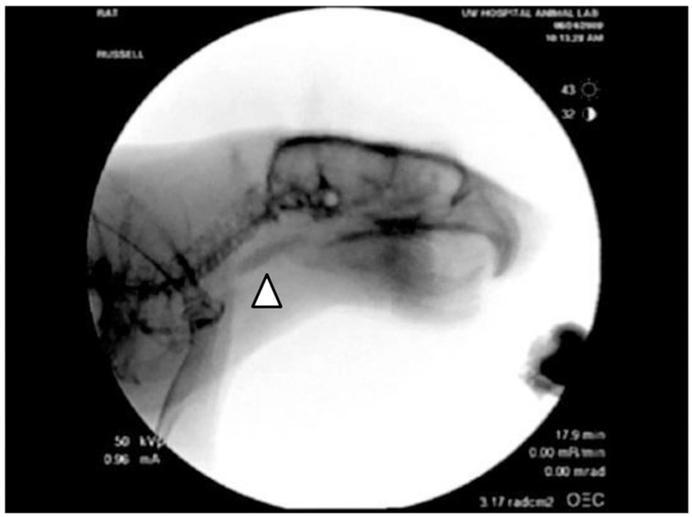 Fig. 1.