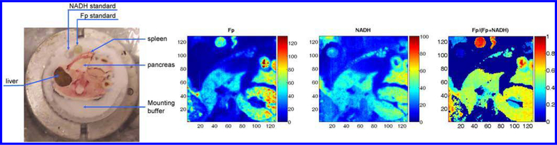 Fig. 7.