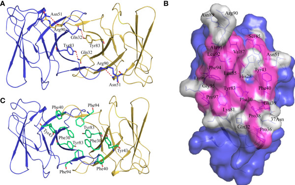 Figure 4