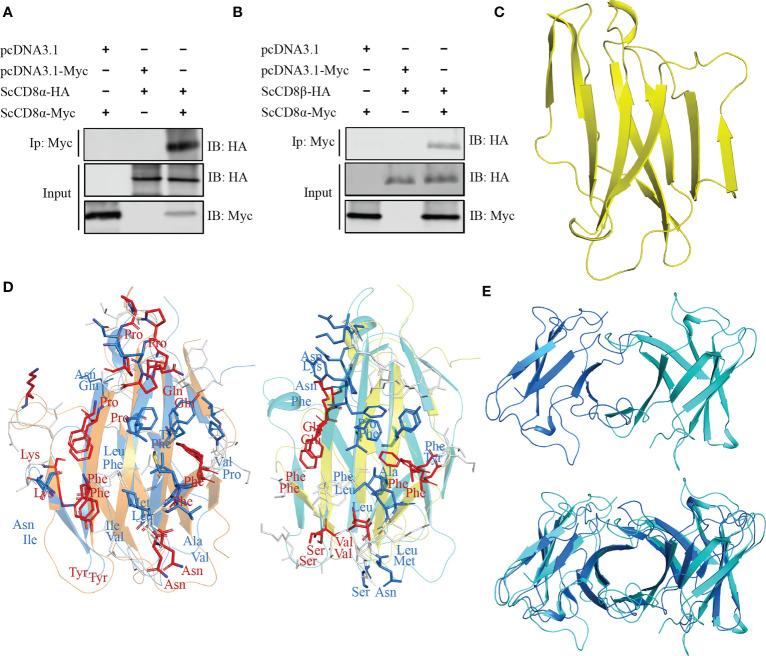 Figure 6