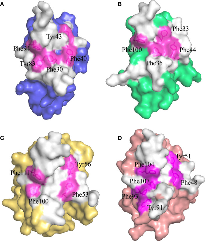 Figure 5