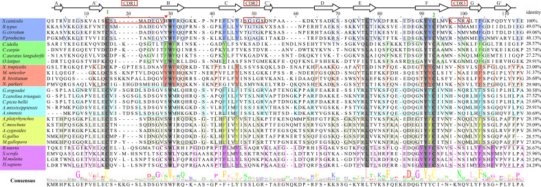 Figure 3