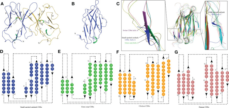 Figure 2