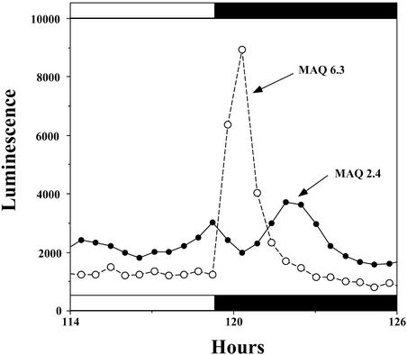 Figure 7.