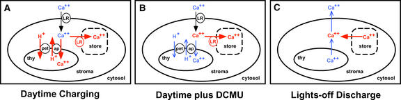 Figure 9.