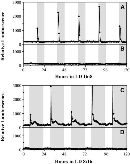 Figure 5.