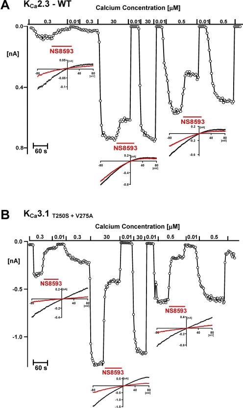 Fig. 5.