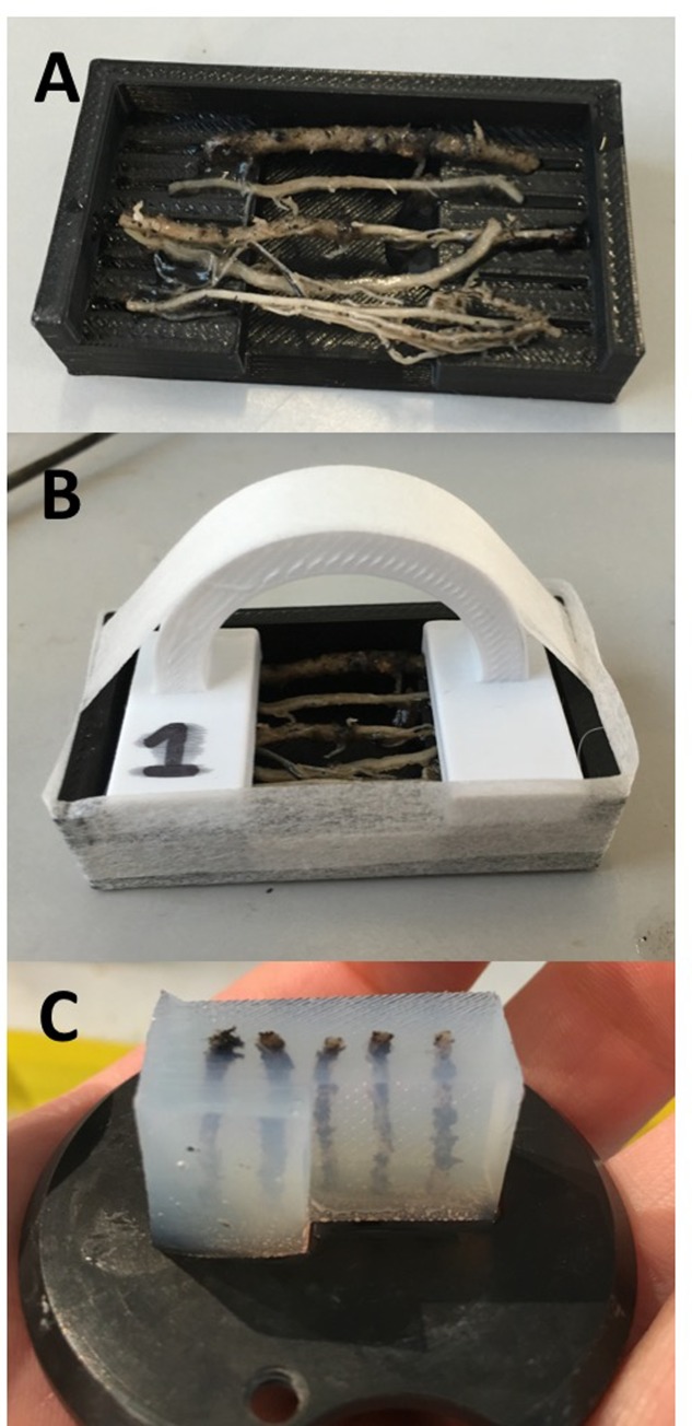 FIGURE 2