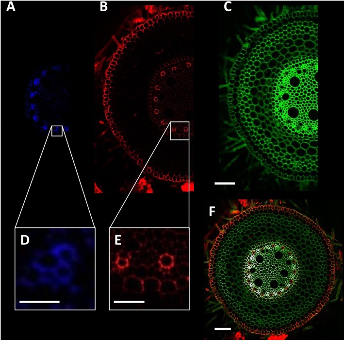 FIGURE 3