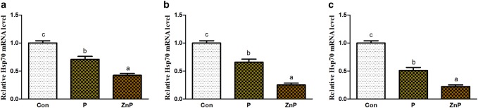 Fig. 7