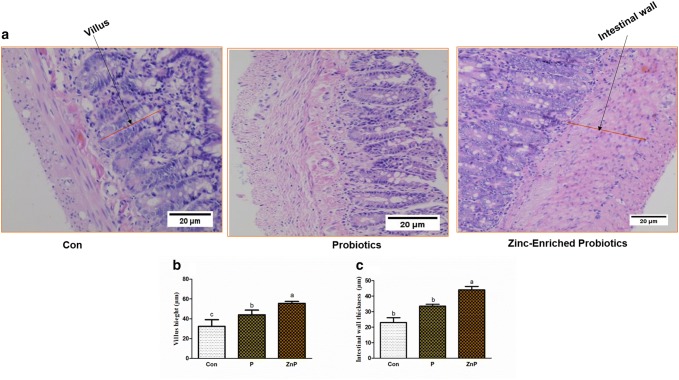 Fig. 9