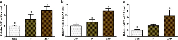 Fig. 6