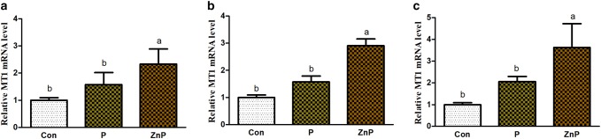 Fig. 5