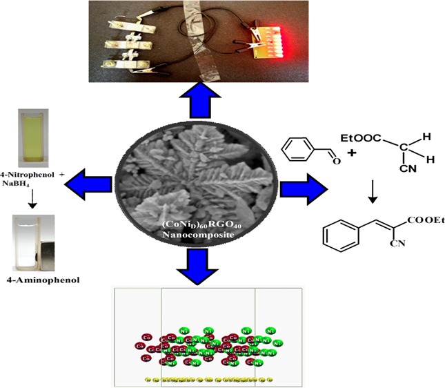 graphic file with name ao9b02861_0003.jpg