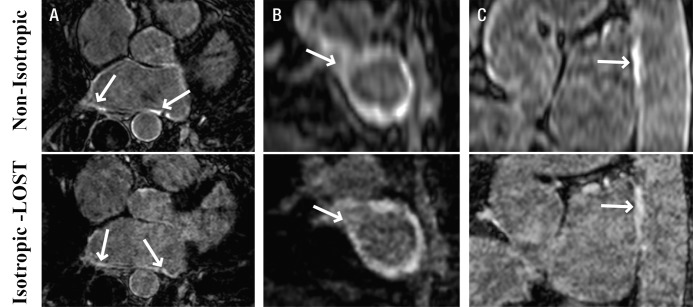 Figure 3: