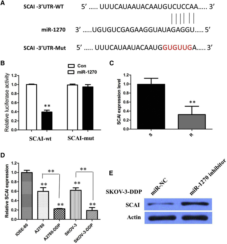 Figure 6