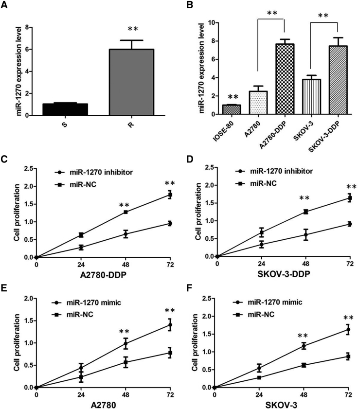 Figure 5