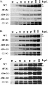 FIG. 7.