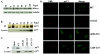 FIG. 6.