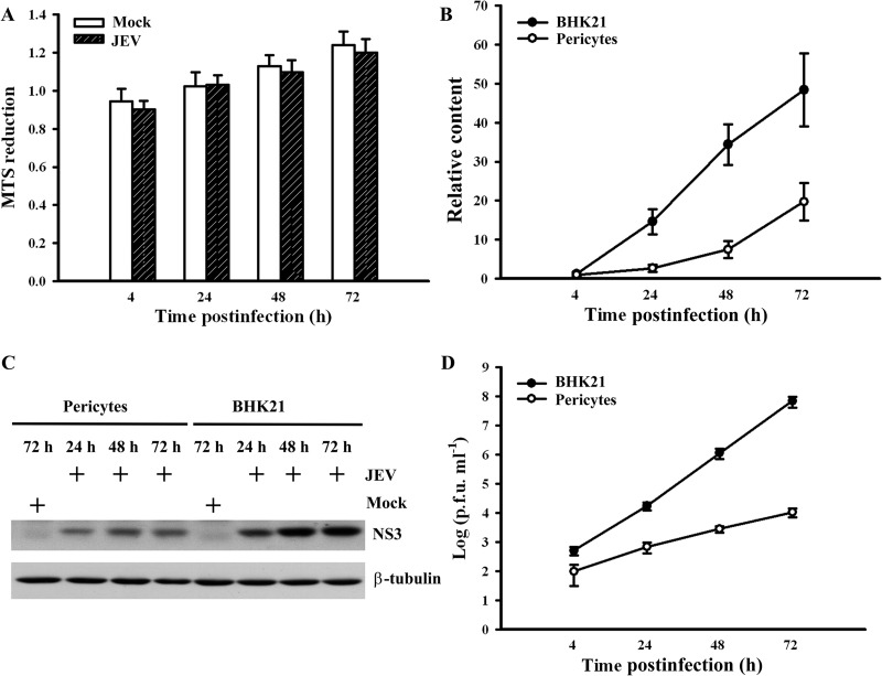 FIG 2