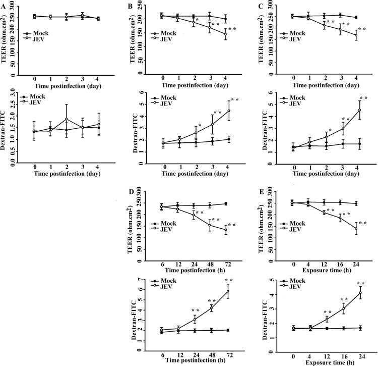 FIG 3