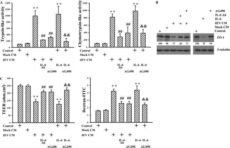 FIG 6