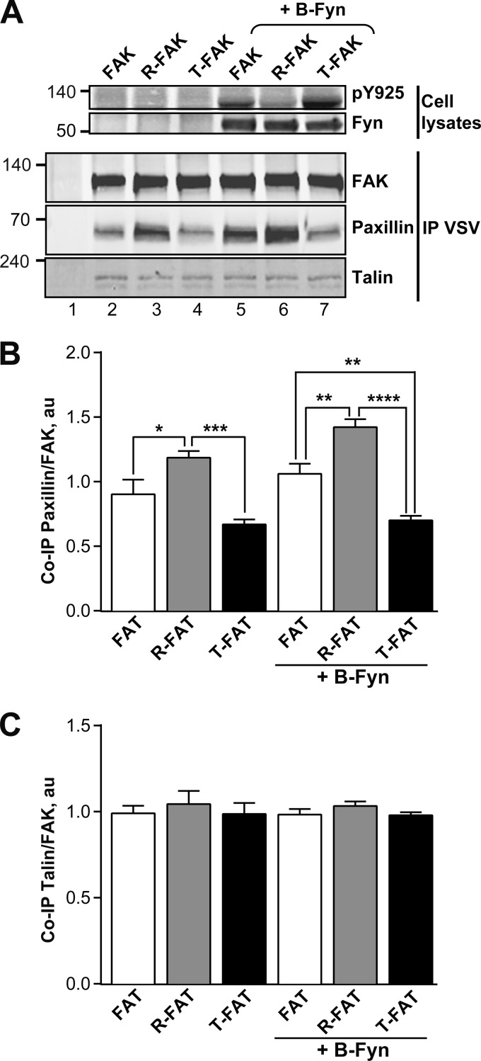 FIGURE 7.