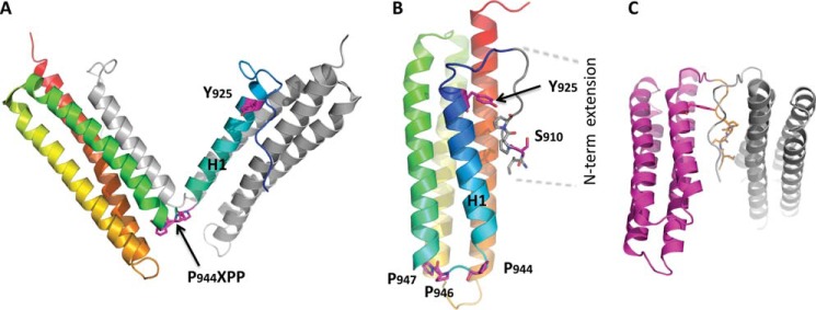 FIGURE 2.