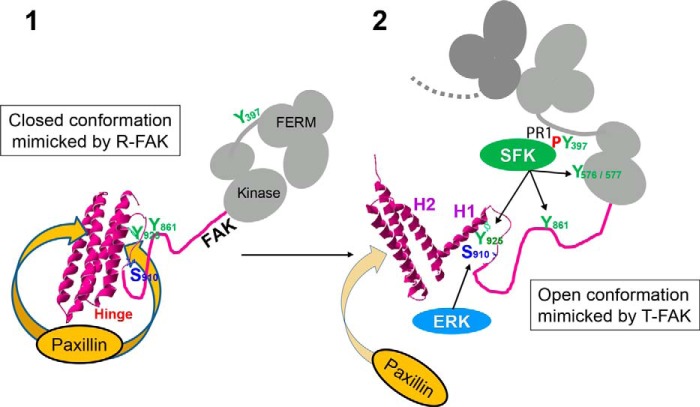 FIGURE 10.