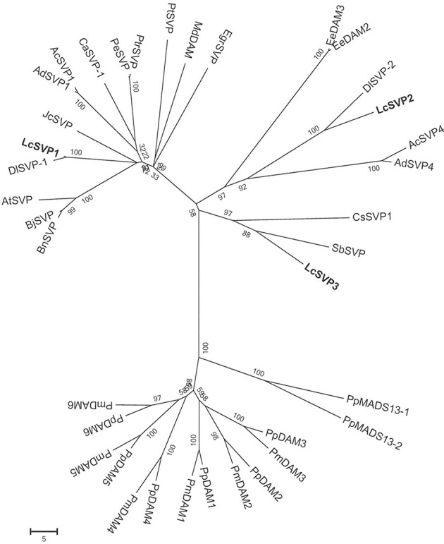 Figure 10