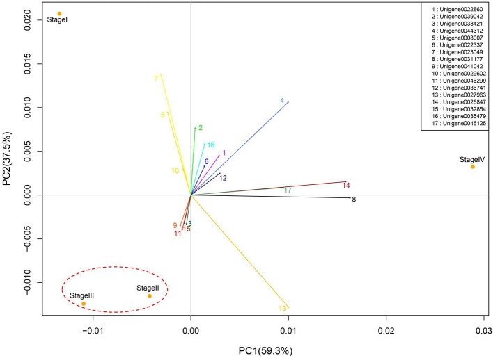 Figure 6