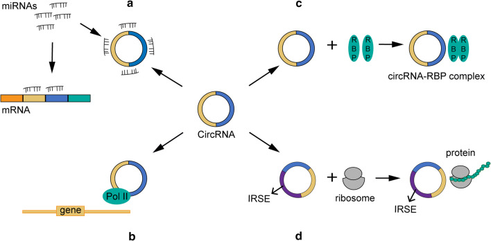 Fig. 2