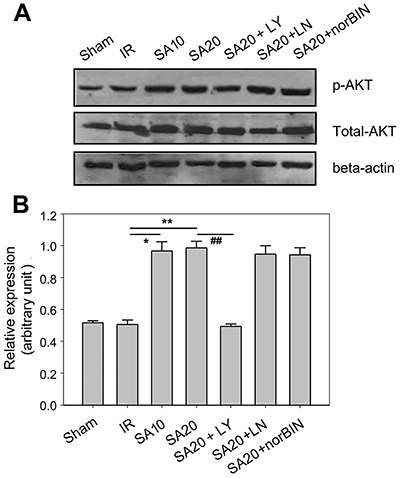 Figure 7.