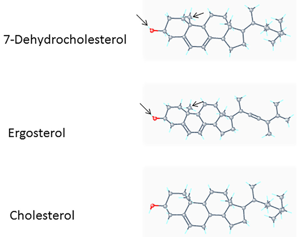 Fig. 7.