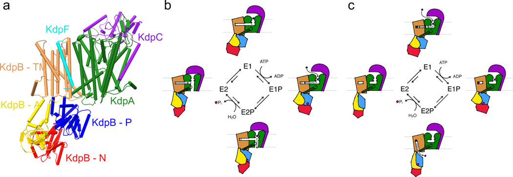 Figure 6.